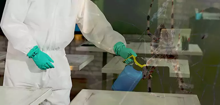 Why Buyers Still Want Homes With Pest Infestations in North Dakota, ND?