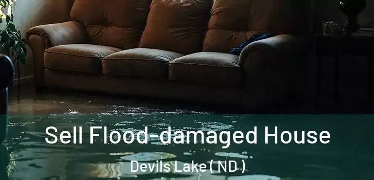 Sell Flood-damaged House Devils Lake ( ND )