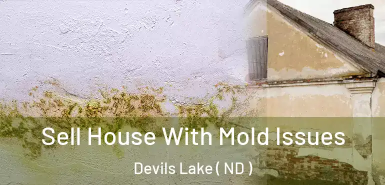  Sell House With Mold Issues Devils Lake ( ND )