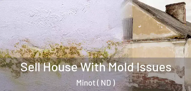  Sell House With Mold Issues Minot ( ND )