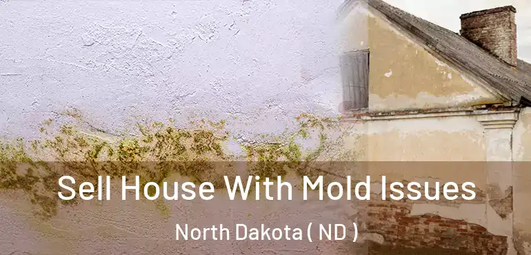  Sell House With Mold Issues North Dakota ( ND )