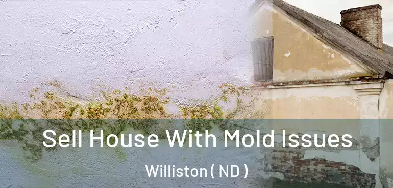  Sell House With Mold Issues Williston ( ND )